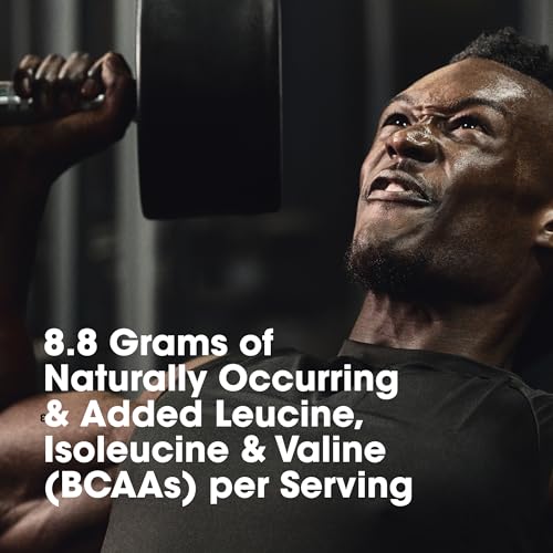 Optimum Nutrition Platinum Hydrowhey Protein Powder, 100% Hydrolyzed Whey Protein - AB Mystery