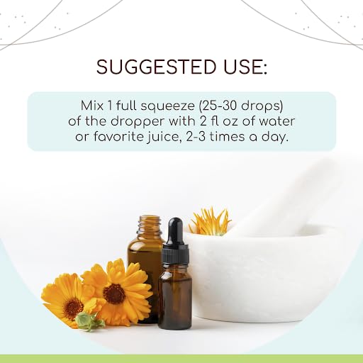 Blue Vervain B120 Alcohol-Free Herbal Extract Tincture, Concentrated Liquid Drops Natural Blue Vervain - AB Mystery