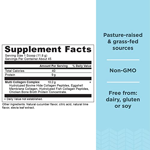 Ancient Nutrition Collagen Powder Protein, Multi Collagen Protein, Cucumber Lime, Hydroly - AB Mystery