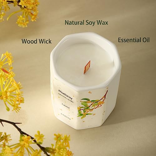 Modoray Scented Candle, Candles for Home Scented, Aromatherapy Candle，Long Lasting Natural - AB Mystery