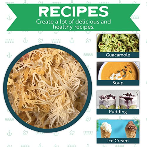 Herbal Vineyards Natural Organic Wildcrafted Gold Raw Sea Moss Gel for Immune Support - AB Mystery