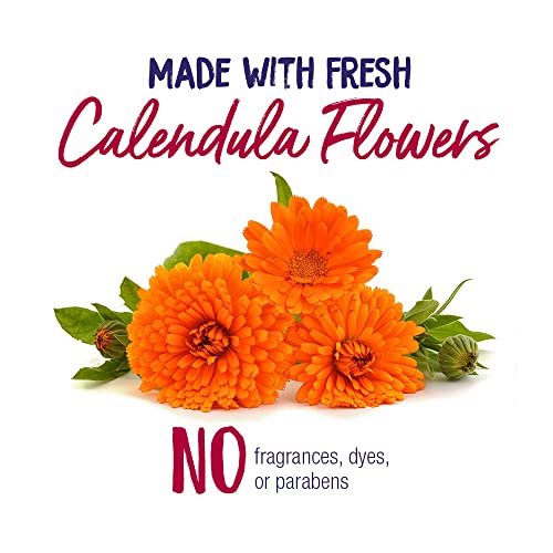 Boiron Calendula Cream for First Aid, Minor Burns, Cuts, Scrapes, Insect Bits and Sunburn - 2.5 oz - AB Mystery