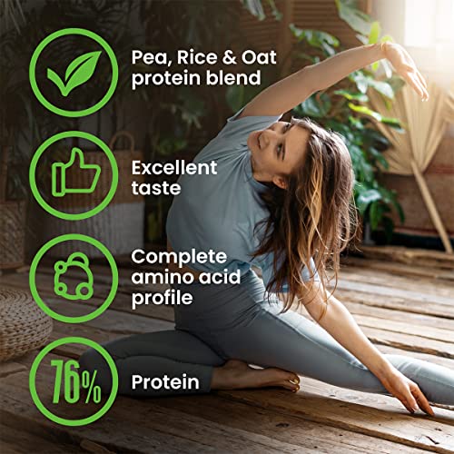 VPlab Vegan Protein Powder 500g - 16 Servings, 100% Plant Based and Natural Vegan Protein Shake vplab nutrition
