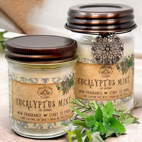 Scented Candle for Home by Way Out West Candles - Long Lasting Home Fragrance or Essential Oils - AB Mystery