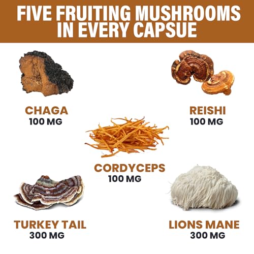 Zeus Naturals Lions Mane Capsules, Mushroom Supplement with Turkey Tail, Cordyceps - AB Mystery