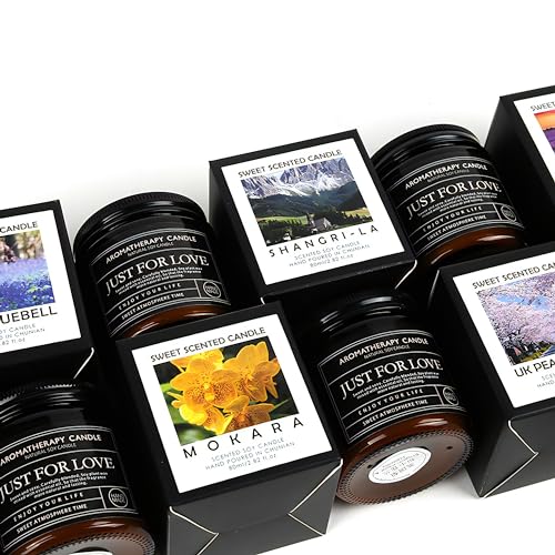 Candles for Home Scented Candle Gifts for Men Candles Clearance Amber Candle Jar Soy Wax Candles - AB Mystery
