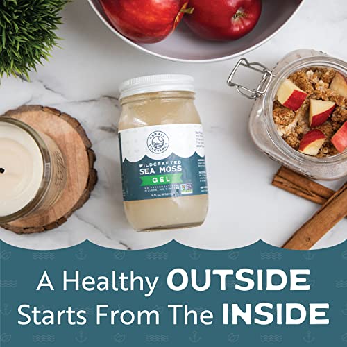 Herbal Vineyards Natural Organic Wildcrafted Gold Raw Sea Moss Gel for Immune Support - AB Mystery