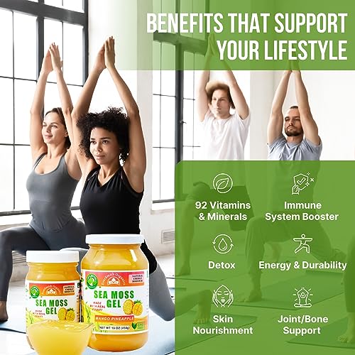 EverSmith Organics - Wildcrafted Irish Sea Moss Gel | Made in USA | Rich in Vitamins - AB Mystery