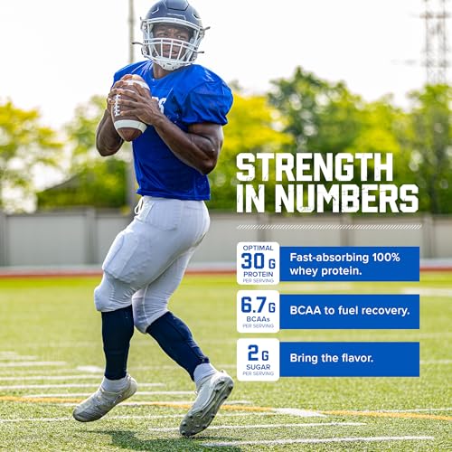 Six Star Whey Protein Powder Plus | Muscle Building & Recovery Plus Immune Support - AB Mystery