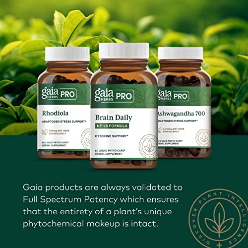 Gaia Herbs Pro Female Hormone Support - Menopause Supplement for Women - with Vitex - AB Mystery