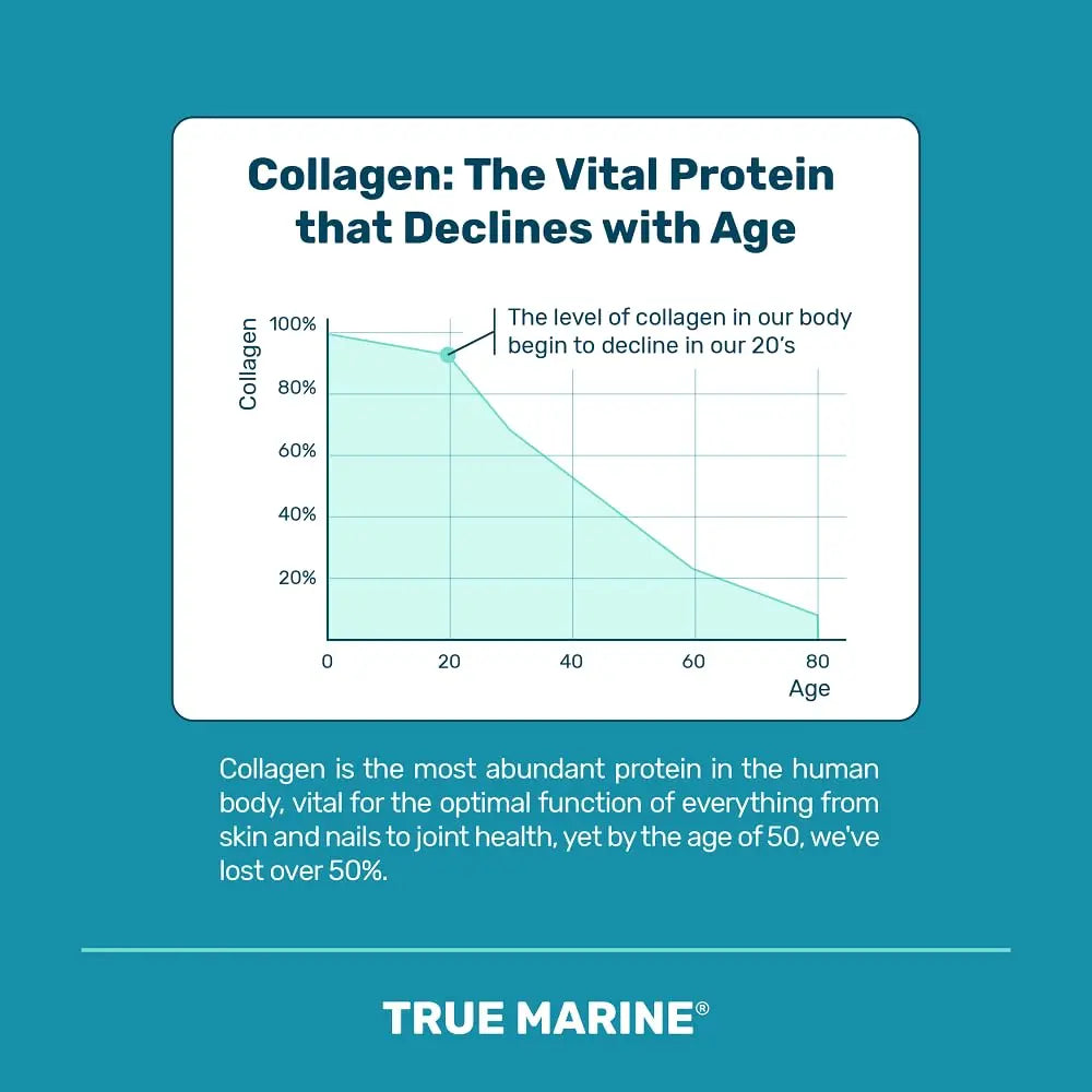 TRUE MARINE Collagen Capsules - 2,400mg of Marine Collagen with Hyaluronic Acid & Vitamin C - Skin, Hair, Nails & Joint Support TRUE MARINE