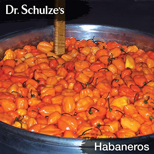 Brain Formula 2 oz. - Vegan and Wild-Harvested | Stimulates Circulation and and Improved - AB Mystery