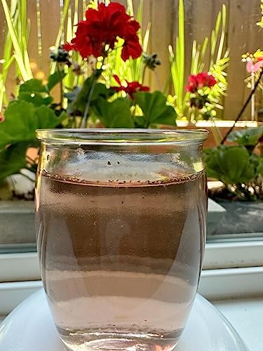 1Balance Living Menopause Support Tea: Cooling Hibiscus Mint, Perimenopause - AB Mystery