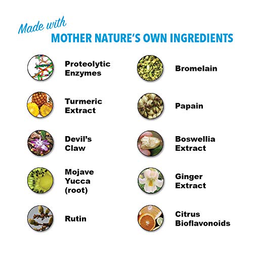 HEAL-N-SOOTHE Natural Joint Support Supplement - Proteolytic Enzymes for Maximum - AB Mystery