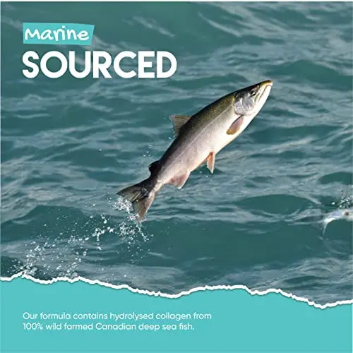 Marine Collagen Gummies by Jolly Jelly® - Wild-Caught Marine Collagen Tapioca Gummies - Type 1 Hydrolysed Collagen - Strawberry Flavour - 60 Gummies. - AB Mystery