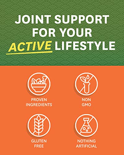 Zenwise Health Glucosamine Chondroitin MSM - Joint Support Supplement with Turmeric - AB Mystery