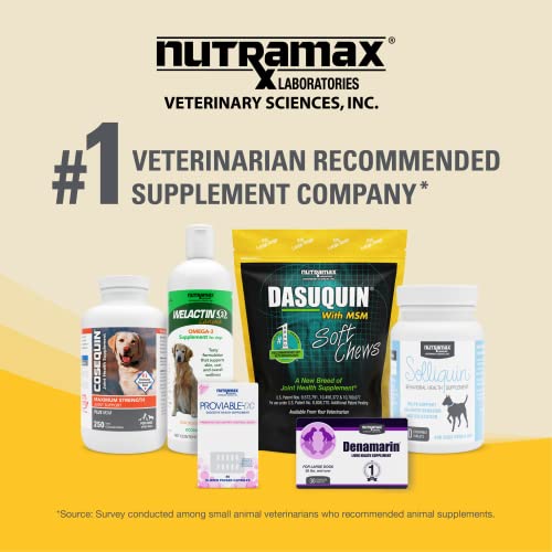 Nutramax Laboratories Dasuquin with MSM Joint Health Supplement for Large Dogs - AB Mystery