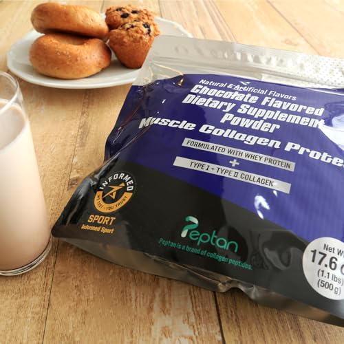Muscle Colllagen Protein Collagen Peptides Powder Chocolate Flavored Dietary Supplement - AB Mystery