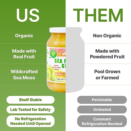 EverSmith Organics - Wildcrafted Irish Sea Moss Gel | Made in USA | Rich in Vitamins - AB Mystery