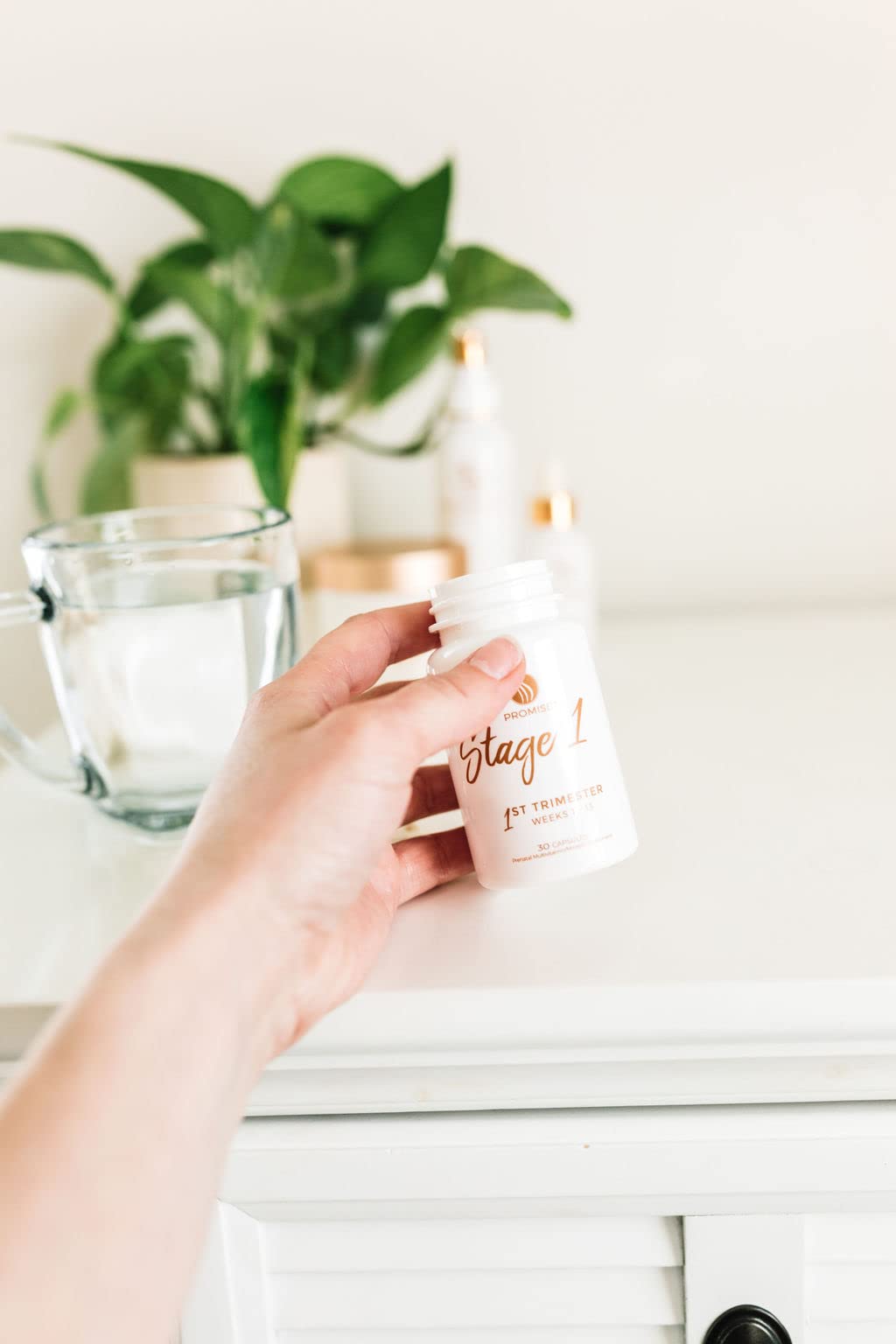 Promise Prenatal Stage 1 First Trimester Prenatal Vitamins for Weeks 1- Organic, Vegan, Gentle Promise Prenatal