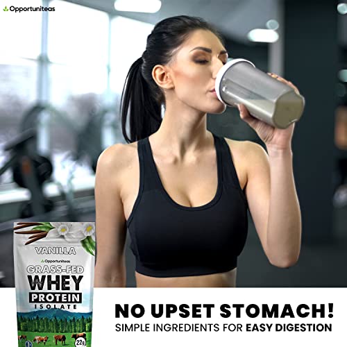 Opportuniteas Vanilla Whey Protein Powder - Grass Fed Whey Isolate + Real Sugar & Vanilla - AB Mystery