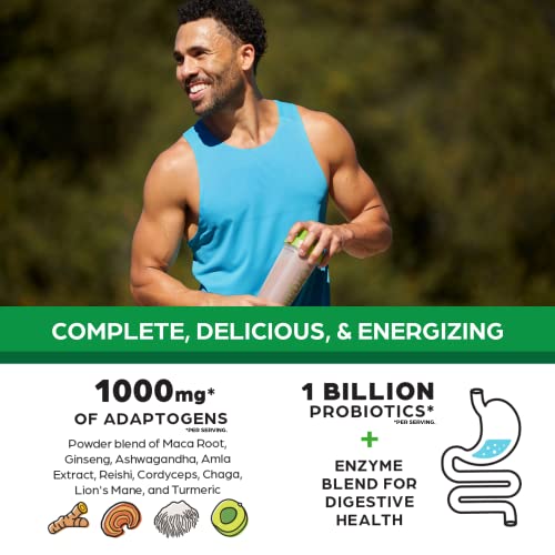 Orgain Organic Perfect Meal Replacement Protein Powder, Chocolate - 25g Plant Based - AB Mystery