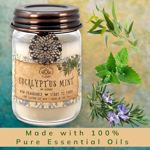 Scented Candle for Home by Way Out West Candles - Long Lasting Home Fragrance or Essential Oils - AB Mystery