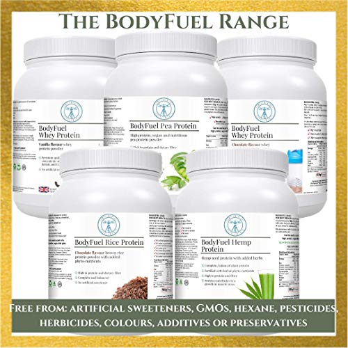Complementary Supplements - BodyFuel Whey Protein Isolate & Concentrate Chocolate Flavour Complementary Supplements