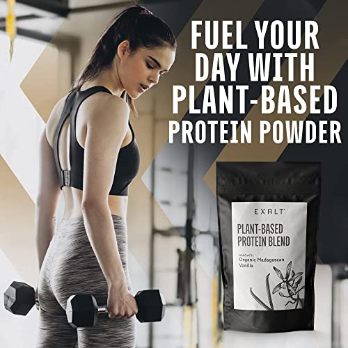 EXALT Vegan Protein Powder - 100% Plant-Based – Gluten Free - Keto Friendly EXALT