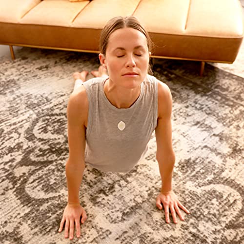 Breatherapy Pure Essential Oil Aromatherapy Inhalation Tabs, 8-Pack (Lavender) - AB Mystery