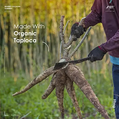 Marine Collagen Gummies - Wild-Caught Marine - Tapioca Based - High Potency Hydrolysed Marine Collagen Gummies - AB Mystery