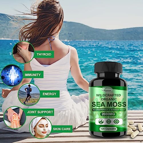 Fleamart 2 Pack Irish Sea Moss Capsules 120ct Raw Organic Sea Moss Wildcrafted Bladder - AB Mystery
