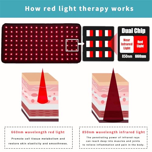 RJOYBAO Red Light Therapy Infrared Light Therapy Belt for Body,Red Light Therapy lamp - AB Mystery