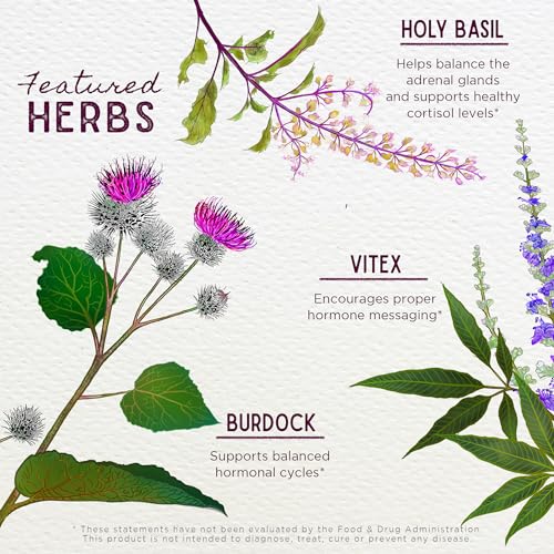 WishGarden Herbs Hot Flash Mitigating Tonic - Natural Herbal Hot Flash Relief & Night Sweats Supplement - AB Mystery