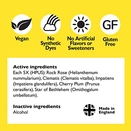 Day & Night Bundle, Bach RESCUE REMEDY Spray, Natural Stress Relief [and] RESCUE SLEEP Spray - AB Mystery