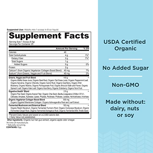 Ancient Nutrition Supergreens Powder, Organic Superfood Powder with Collagen - AB Mystery