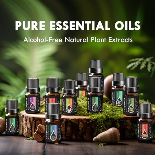 KMSCO Essential Oils Set -Top 16(0.33Fl Oz) Organic Plant Natural Fragrance Scents Blends Oil - AB Mystery