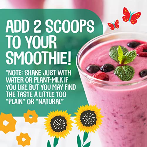 EarthChimp Organic Vegan Protein Powder - with Probiotics - Non GMO, Dairy Free - AB Mystery