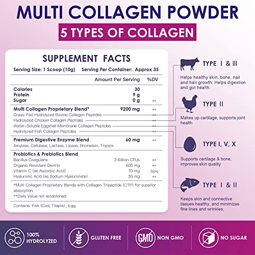 NATURE TARGET Multi Collagen Peptides Powder - Type I, II, III, V, X - Hydrolyzed Collagen - AB Mystery