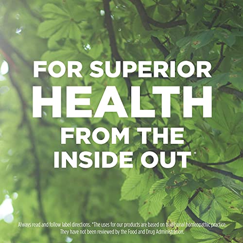 Hyland's Naturals No. 7 Cell Salt Kali Sulph 6X Tablets, Cystic Acne and Acne Scare Treatment - AB Mystery