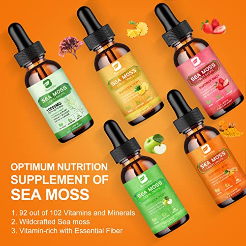 B BEWORTHS Sea Moss Liquid Drops - Organic Irish Sea Moss Raw Gel with Burdock Root - AB Mystery