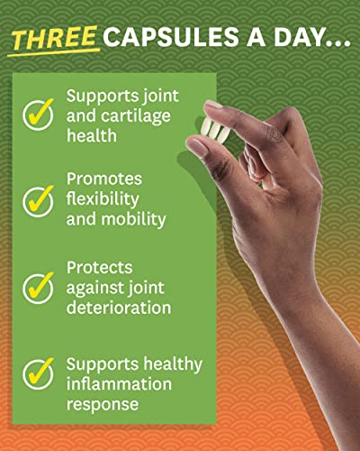 Zenwise Health Glucosamine Chondroitin MSM - Joint Support Supplement with Turmeric - AB Mystery