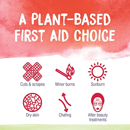 Boiron Calendula Cream for First Aid, Minor Burns, Cuts, Scrapes, Insect Bits and Sunburn - 2.5 oz - AB Mystery