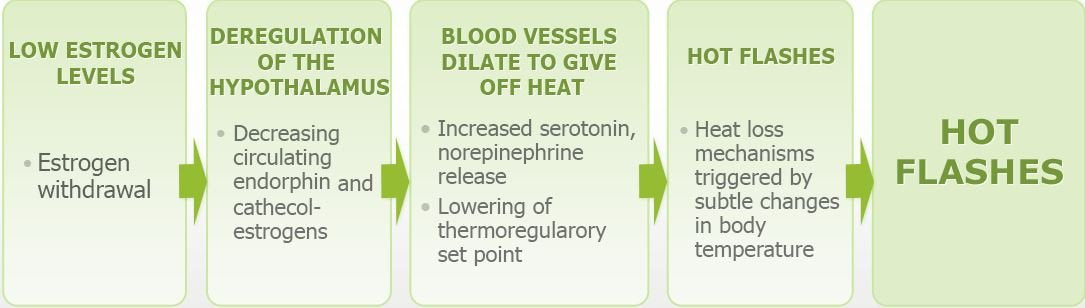 YouFit Nutrition Menopause Relief Capsules for Women - Natural Menopause Supplements - AB Mystery