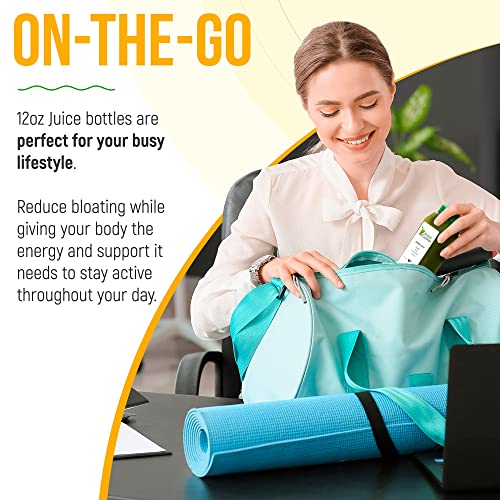 Raw Fountain 7 Day Green Juice Cleanse, All Natural Raw, Vegan Detox, Cold Pressed - AB Mystery