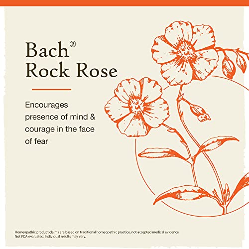 Bach Original Flower Remedies, Rock Rose for Courage (Non-Alcohol Formula), Natural Homeopathic - AB Mystery