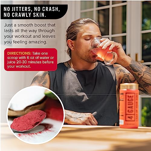 4 Gauge Natural Preworkout Without The Jitters | 30 Servings | Nitric Oxide Booster - AB Mystery