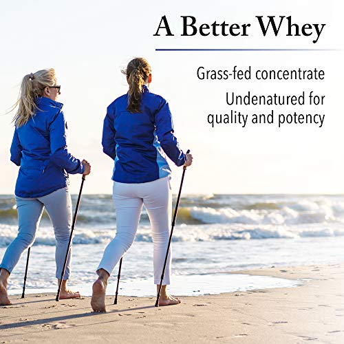 Whey Factors by Natural Factors, Grass Fed Whey Protein Concentrate, Aids Muscle - AB Mystery