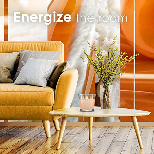 Glade Candle Jar, Air Freshener, Vanilla Caramel Twist, 3.4 oz, 2 Count - AB Mystery