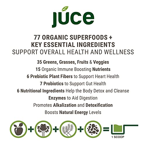 Terra Kai Organics JUCE Green Superfood Powder, Organic Fruits and Veggies Supplement - AB Mystery